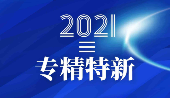 我司荣获浙江省“专精特新”中小企业
